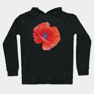 Poppy flower painting (no background) Hoodie